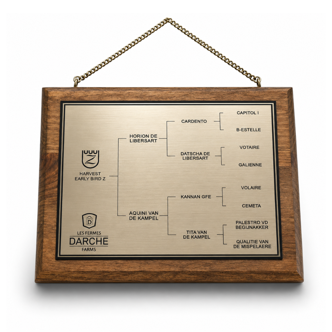 Premium Custom Pedigree Plaque