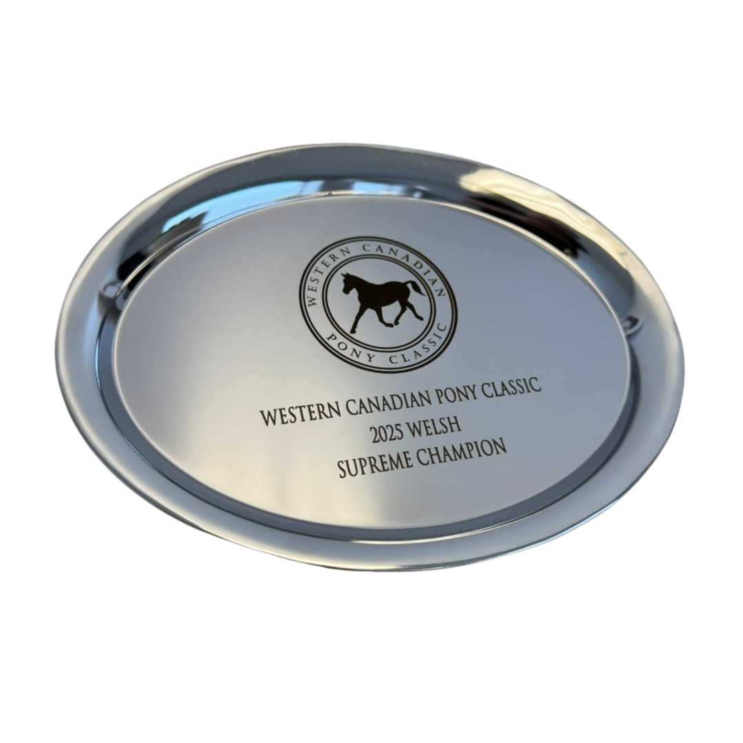 Classic Silver Award Tray