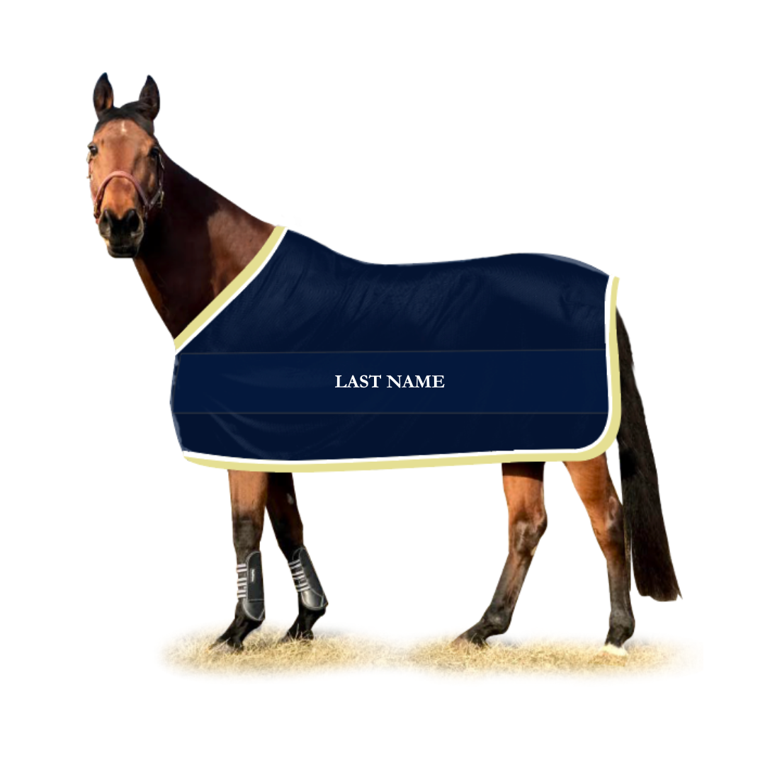 Solaris Equestrian/Kueber Farms Platinum Scrim