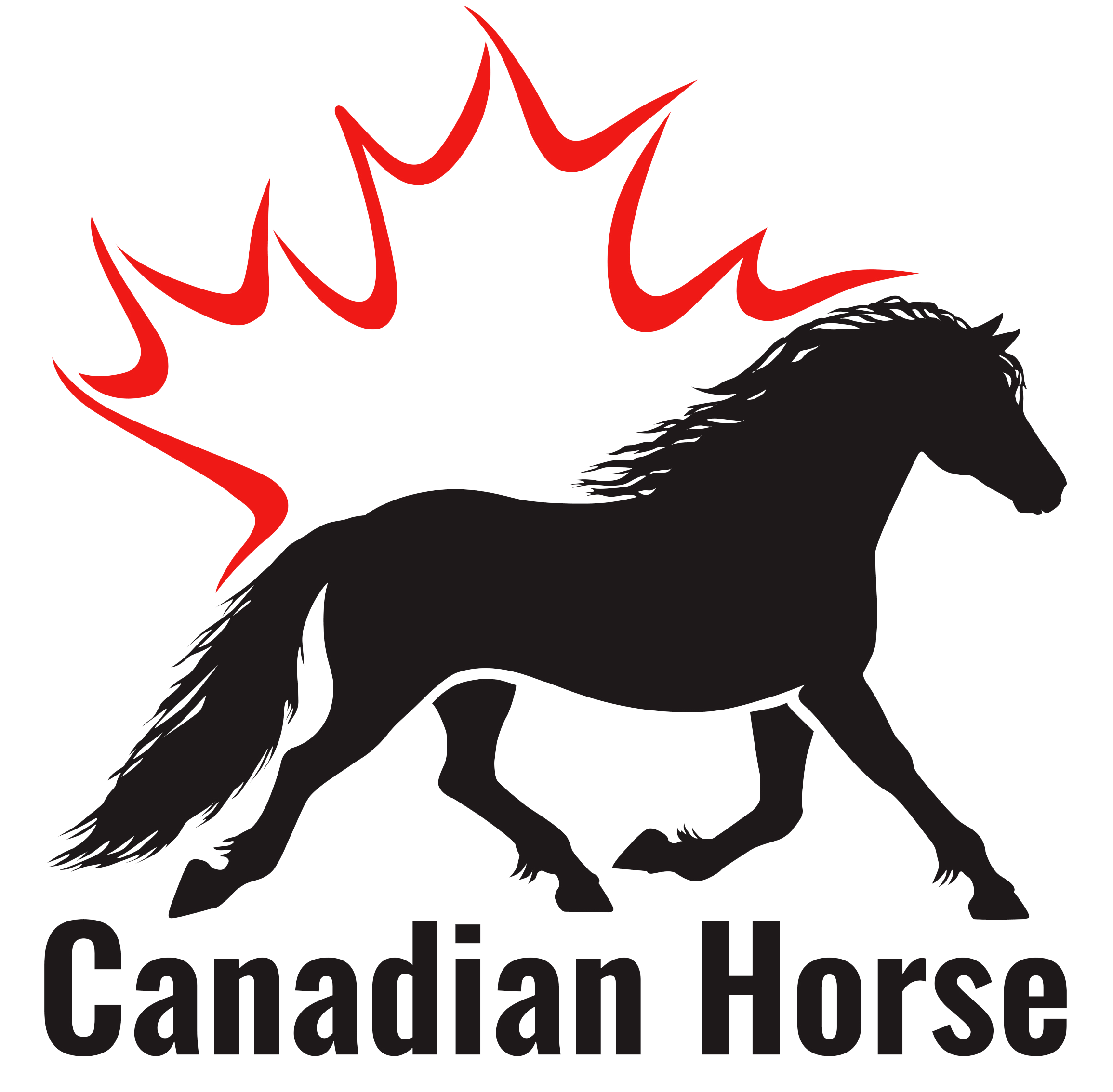 CHBA Performance Saddle Pad - Jump