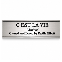 Classic Engraved Stall Plate