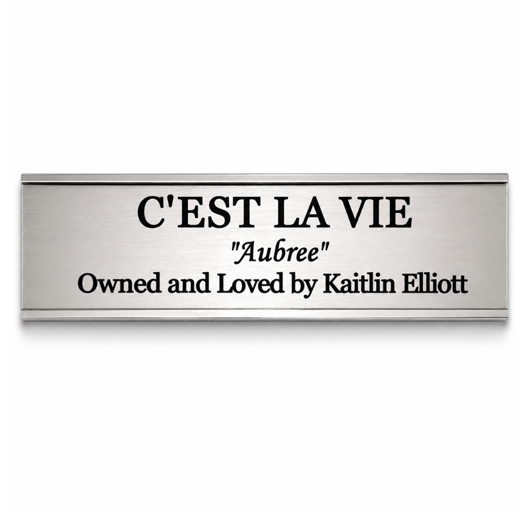 Classic Engraved Stall Plate