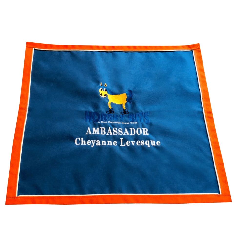 RES Stall Front Door Panel