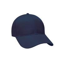 Mesh Panel Cap
