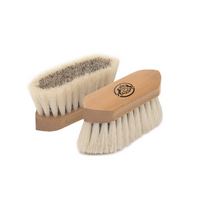 Union Center/Tampico Border Dandy brush