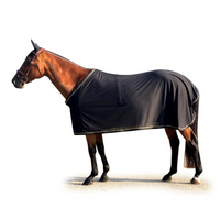 RES Hampton Scrim Sheet